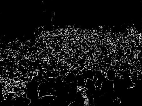 CS7641 Crowd Detection and Crowd Counting Project Page | CS7641-Crowd